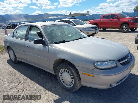 ✅ 2000 Chevrolet Malibu • VIN: 1G1ND52J1Y6303318 • Лот: 45330246. Опубликован ранее на IAAI с пробегом 236 159 миль. Бесплатный доступ к архиву аукционных продаж из США и подробный отчёт об истории автомобиля на DreamBid. Изображение 1.