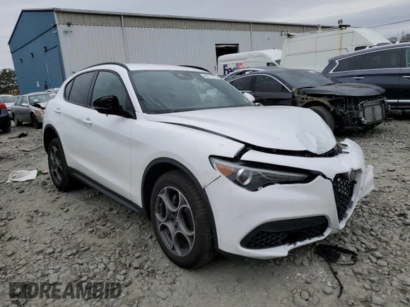 ✅ 2022 Alfa Romeo Stelvio Sprint • VIN: ZASPAKAN1N7D41754 • Lot: 46711213. Wystawiony na Copart z przebiegiem 9 219 mil. Bezpłatny archiwum sprzedaży aukcyjnych z USA i szczegółowy raport historii pojazdu na DreamBid. Zdjęcie 4.