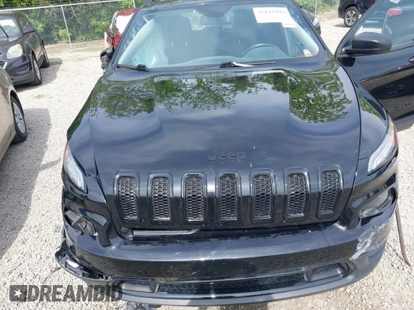 ✅ 2017 Jeep Cherokee Sport • VIN: 1C4PJMABXHW651311 • Lot: 45125393. Wystawiony na IAAI z przebiegiem 160 930 mil. Bezpłatny archiwum sprzedaży aukcyjnych z USA i szczegółowy raport historii pojazdu na DreamBid. Zdjęcie 10.