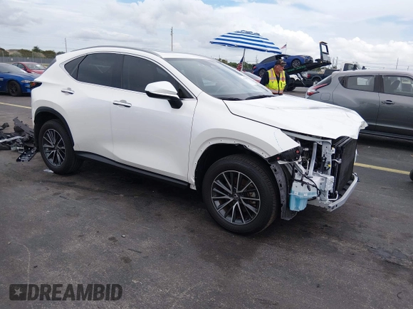 ✅ 2024 Lexus NX 350 Premium • VIN: JTJGGCEZ8R2014584 • Лот: 45154037. Опубликован ранее на IAAI с пробегом 10 968 миль. Бесплатный доступ к архиву аукционных продаж из США и подробный отчёт об истории автомобиля на DreamBid. Изображение 1.