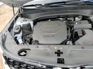 ✅ 2024 Kia Telluride SX • VIN: 5XYP5DGC5RG562748 • Lot: 54954245. Wystawiony na Copart z przebiegiem 6 977 mil. Bezpłatny archiwum sprzedaży aukcyjnych z USA i szczegółowy raport historii pojazdu na DreamBid. Zdjęcie 14.