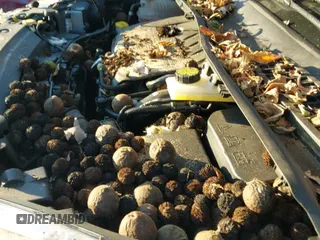 ✅ 2017 Ford Escape Titanium • VIN: 1FMCU9JD6HUD18910 • Lot: 43557871. Wystawiony na IAAI z przebiegiem 29 429 mil. Bezpłatny archiwum sprzedaży aukcyjnych z USA i szczegółowy raport historii pojazdu na DreamBid. Zdjęcie 19.