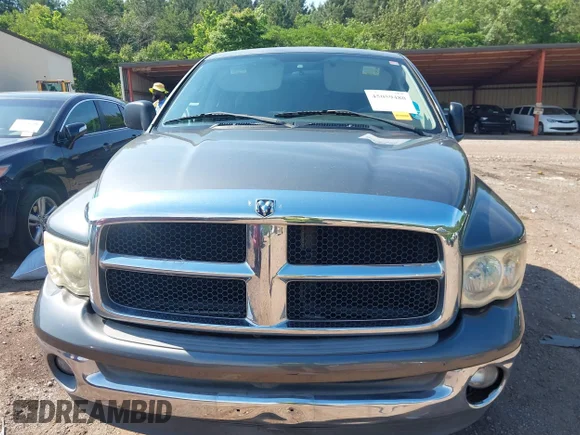 ✅ 2003 Dodge 1500 ST • VIN: 1D7HA18N73S209644 • Lot: 45059480. Listed on IAAI with 171,544 mi. Free auction sales archive from the USA and detailed vehicle history report at DreamBid. Image 6.