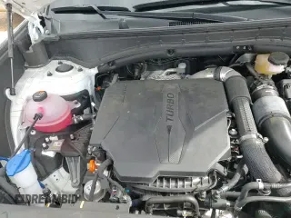 2024 Hyundai Santa Fe XRT с VIN 5NMP3DGL8RH014853, выставлен на аукционе Copart как лот 88101115 с пробегом 9 112 миль миль и Списание • Salvage title. История ставок и продаж доступна на DreamBid. Изображение 15.