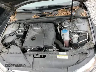 ✅ 2013 Audi A4 Premium • VIN: WAUDFAFL5DN012979 • Lot: 85918694. Listed on Copart with 62,220 mi. Free auction sales archive from the USA and detailed vehicle history report at DreamBid. Image 13.