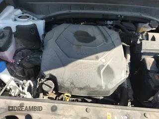 ✅ 2023 Kia Telluride EX • VIN: 5XYP34GC6PG401456 • Lot: 69363965. Listed on Copart with 80,754 mi. Free auction sales archive from the USA and detailed vehicle history report at DreamBid. Image 16.