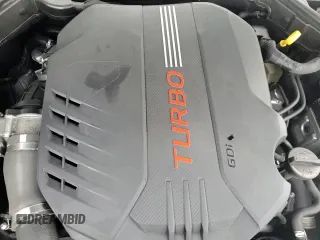 ✅ 2019 Kia Stinger GT • VIN: KNAE35LC7K6043716 • Lot: 55450285. Wystawiony na Copart z przebiegiem 64 941 mil. Bezpłatny archiwum sprzedaży aukcyjnych z USA i szczegółowy raport historii pojazdu na DreamBid. Zdjęcie 13.