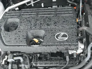 ✅ 2025 Lexus NX 350h Luxury • VIN: 2T2HKCEZ3SC043032 • Lot: 41704791. Listed on IAAI with 1,135 mi. Free auction sales archive from the USA and detailed vehicle history report at DreamBid. Image 20.