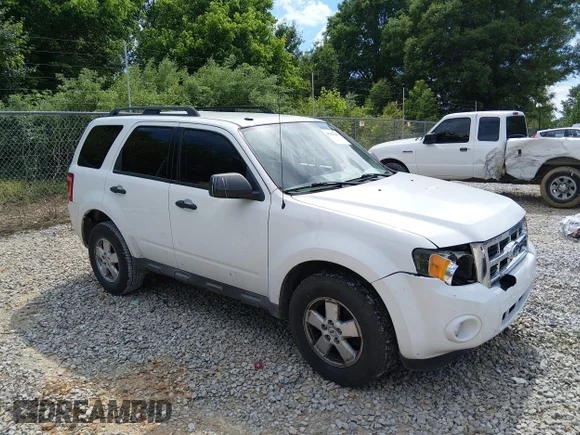 2010 Ford Escape XLT