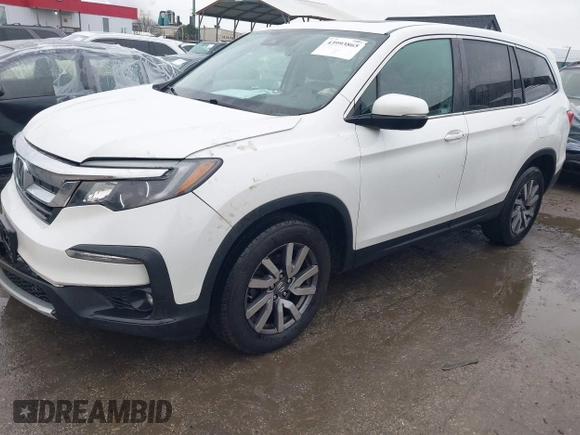 ✅ 2021 Honda Pilot EX-L • VIN: 5FNYF6H52MB038146 • Lot: 43993865. Wystawiony na IAAI z przebiegiem 67 077 mil. Bezpłatny archiwum sprzedaży aukcyjnych z USA i szczegółowy raport historii pojazdu na DreamBid. Zdjęcie 2.