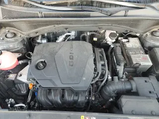 ✅ 2021 Hyundai Santa Fe SE • VIN: 5NMS1DAJ5MH370502 • Lot: 81956045. Listed on Copart with 55,691 mi. Free auction sales archive from the USA and detailed vehicle history report at DreamBid. Image 16.