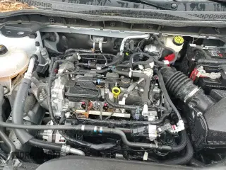 ✅ 2022 Ford Escape SE • VIN: 1FMCU9G64NUB03448 • Lot: 55403545. Wystawiony na Copart z przebiegiem 33 431 mil. Bezpłatny archiwum sprzedaży aukcyjnych z USA i szczegółowy raport historii pojazdu na DreamBid. Zdjęcie 13.