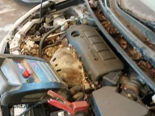 ✅ 2010 Pontiac Vibe 1SB • VIN: 5Y2SP6E07AZ405415 • Lot: 43048374. Listed on IAAI with 310,067 mi. Free auction sales archive from the USA and detailed vehicle history report at DreamBid. Image 12.