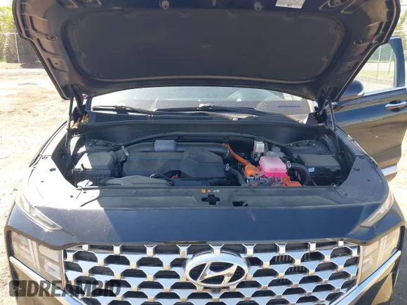 ✅ 2023 Hyundai Santa Fe SEL Premium • VIN: 5NMS3DA18PH009747 • Lot: 45011323. Listed on IAAI with 34,246 mi. Free auction sales archive from the USA and detailed vehicle history report at DreamBid. Image 10.