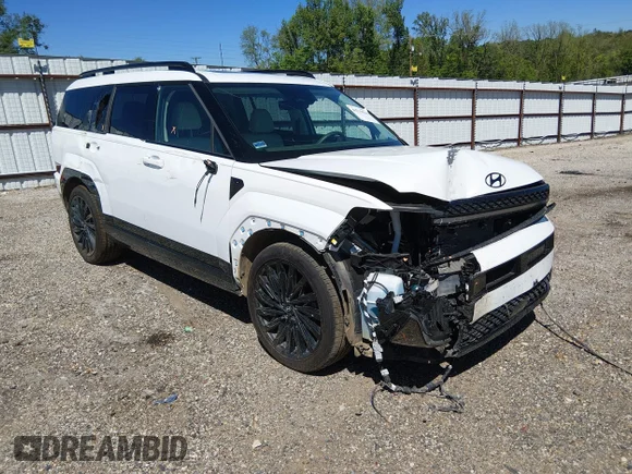 ✅ 2024 Hyundai Santa Fe Calligraphy • VIN: 5NMP54GL8RH052304 • Lot: 44739030. Listed on IAAI with 45,273 mi. Free auction sales archive from the USA and detailed vehicle history report at DreamBid. Image 1.