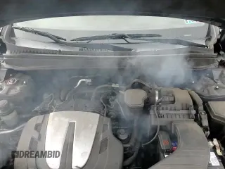 ✅ 2010 Hyundai Santa Fe Limited • VIN: 5NMSKDAG8AH358695 • Lot: 84342724. Listed on Copart with 111,036 mi. Free auction sales archive from the USA and detailed vehicle history report at DreamBid. Image 14.