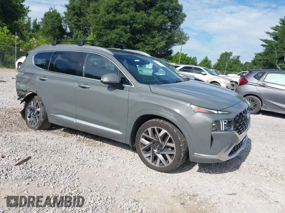✅ 2022 Hyundai Santa Fe Calligraphy • VIN: 5NMS54ALXNH415165 • Lot: 45304050. Listed on IAAI with 65,967 mi. Free auction sales archive from the USA and detailed vehicle history report at DreamBid. Image 1.