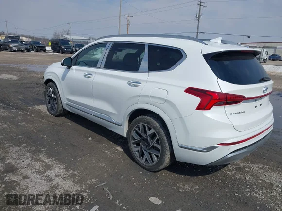 ✅ 2022 Hyundai Santa Fe Calligraphy • VIN: 5NMS54AL5NH394046 • Lot: 44703000. Wystawiony na IAAI z przebiegiem 41 134 mil. Bezpłatny archiwum sprzedaży aukcyjnych z USA i szczegółowy raport historii pojazdu na DreamBid. Zdjęcie 3.