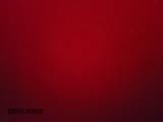 ✅ 2017 Ford Mustang EcoBoost • VIN: 1FA6P8TH8H5208928 • Lot: 70049195. Listed on Copart with 59,558 mi. Free auction sales archive from the USA and detailed vehicle history report at DreamBid. Image 15.