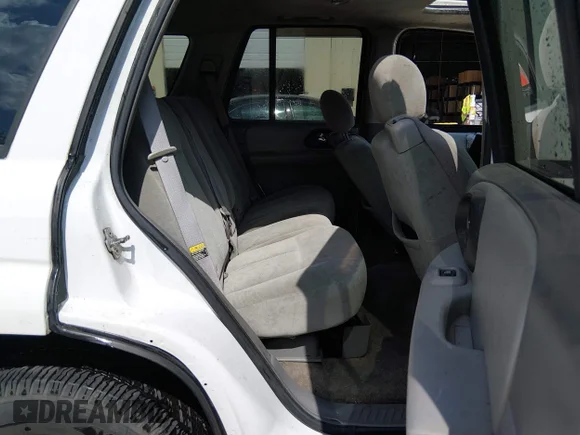 ✅ 2005 Chevrolet TrailBlazer LS • VIN: 1GNDS13S252285303 • Lot: 45238808. Wystawiony na IAAI z przebiegiem 261 920 mil. Bezpłatny archiwum sprzedaży aukcyjnych z USA i szczegółowy raport historii pojazdu na DreamBid. Zdjęcie 8.