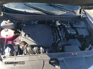 ✅ 2024 Hyundai Santa Cruz SEL • VIN: 5NTJC4DE6RH104325 • Лот: 45729845. Размещён на Copart с пробегом 10 505 миль миль. Получите бесплатный доступ к архиву аукционных продаж из США и посмотрите подробный отчёт об истории автомобиля на DreamBid. Изображение 16.