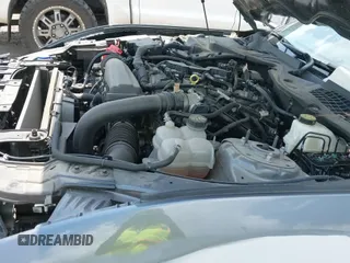 ✅ 2024 Ford Mustang EcoBoost • VIN: 1FA6P8TH0R5110977 • Lot: 42352670. Wystawiony na IAAI z przebiegiem 36 230 mil. Bezpłatny archiwum sprzedaży aukcyjnych z USA i szczegółowy raport historii pojazdu na DreamBid. Zdjęcie 24.