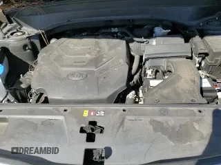 ✅ 2020 Kia Telluride LX • VIN: 5XYP24HC6LG093328 • Lot: 86466625. Wystawiony na Copart z przebiegiem 53 751 mil. Bezpłatny archiwum sprzedaży aukcyjnych z USA i szczegółowy raport historii pojazdu na DreamBid. Zdjęcie 14.