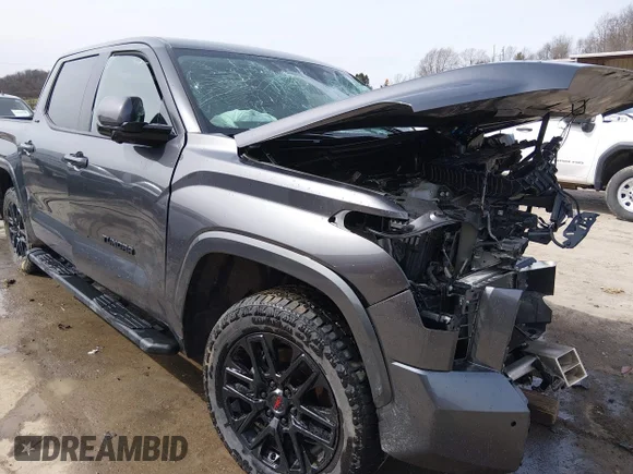 ✅ 2024 Toyota Tundra SR5 • VIN: 5TFLA5DB2RX169072 • Lot: 44511788. Wystawiony na IAAI z przebiegiem 43 744 mil. Bezpłatny archiwum sprzedaży aukcyjnych z USA i szczegółowy raport historii pojazdu na DreamBid. Zdjęcie 1.
