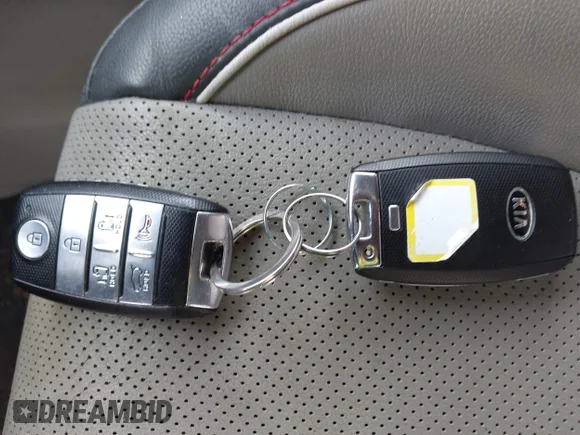 ✅ 2018 Kia Sedona SX • VIN: KNDMC5C10J6352309 • Lot: 44313021. Wystawiony na IAAI z przebiegiem 171 692 mil. Bezpłatny archiwum sprzedaży aukcyjnych z USA i szczegółowy raport historii pojazdu na DreamBid. Zdjęcie 11.
