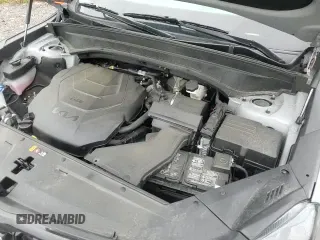 ✅ 2024 Kia Telluride EX X-Line • VIN: 5XYP3DGC4RG429016 • Lot: 69316305. Listed on Copart with 42,714 mi. Free auction sales archive from the USA and detailed vehicle history report at DreamBid. Image 17.