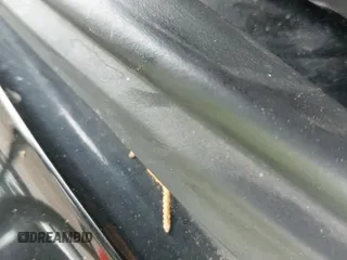 ✅ 2010 Mazda CX-9 Grand Touring • VIN: JM3TB3MV9A0237626 • Лот: 42608623. Опубликован ранее на IAAI с пробегом 141 520 миль. Бесплатный доступ к архиву аукционных продаж из США и подробный отчёт об истории автомобиля на DreamBid. Изображение 13.