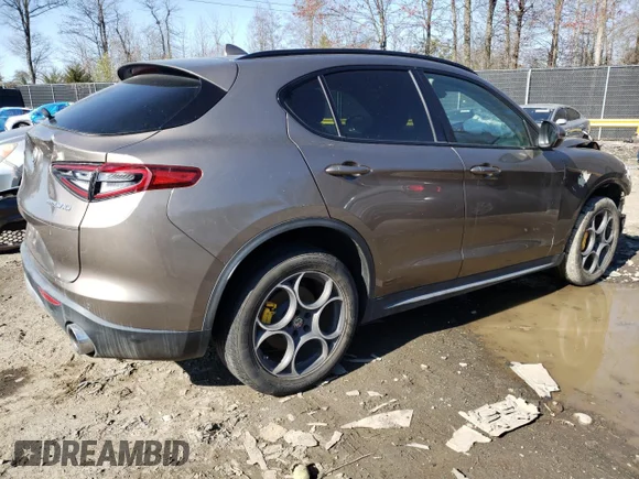 ✅ 2019 Alfa Romeo Stelvio • VIN: ZASPAJAN3K7C35442 • Lot: 46638723. Wystawiony na Copart z przebiegiem 25 380 mil. Bezpłatny archiwum sprzedaży aukcyjnych z USA i szczegółowy raport historii pojazdu na DreamBid. Zdjęcie 3.