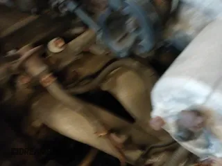 ✅ 2001 Toyota Tacoma • VIN: 5TENL42N31Z721220 • Lot: 42711573. Listed on IAAI with 213,157 mi. Free auction sales archive from the USA and detailed vehicle history report at DreamBid. Image 16.