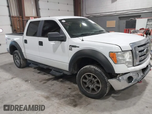 ✅ 2009 Ford F-150 XL • VIN: 1FTPW14V99KC52243 • Lot: 41500479. Listed on IAAI with 186,304 mi. Free auction sales archive from the USA and detailed vehicle history report at DreamBid. Image 1.