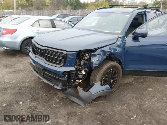 ✅ 2025 Kia Telluride SX-Prestige X-Line • VIN: 5XYP5DGC1SG583182 • Lot: 45083743. Wystawiony na IAAI z przebiegiem 6 374 mil. Bezpłatny archiwum sprzedaży aukcyjnych z USA i szczegółowy raport historii pojazdu na DreamBid. Zdjęcie 6.