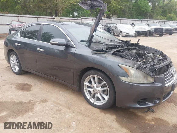 ✅ 2009 Nissan Maxima SV • VIN: 1N4AA51E69C829892 • Lot: 44703678. Listed on IAAI with Not provided. Free auction sales archive from the USA and detailed vehicle history report at DreamBid. Image 1.