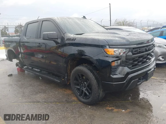 ✅ 2025 Chevrolet Silverado 1500 Custom Trail Boss • VIN: 3GCUKCEDXSG190882 • Лот: 44029752. Опубліковано раніше на IAAI з пробігом 9 229 миль. Безкоштовний доступ до архіву аукціонних продажів зі США та докладний звіт про історію автомобіля на DreamBid. Зображення 1.