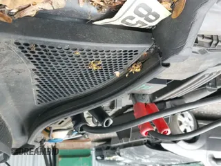 ✅ 2014 Volkswagen CC Sport • VIN: WVWBN7AN1EE503351 • Lot: 42775286. Wystawiony na IAAI z przebiegiem 141 244 mil. Bezpłatny archiwum sprzedaży aukcyjnych z USA i szczegółowy raport historii pojazdu na DreamBid. Zdjęcie 12.