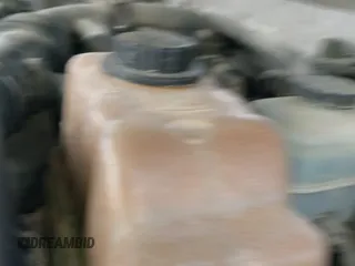 ✅ 2008 Ford Expedition Limited • VIN: 1FMFU19568LA31617 • Lot: 42058997. Listed on IAAI with 223,692 mi. Free auction sales archive from the USA and detailed vehicle history report at DreamBid. Image 12.