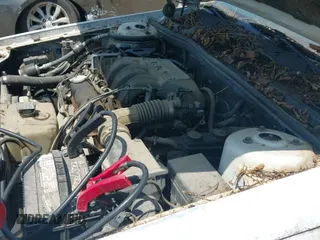 ✅ 1991 Chrysler New Yorker • VIN: 1C3XY66R1MD287237 • Lot: 42741779. Wystawiony na IAAI z przebiegiem 256 851 mil. Bezpłatny archiwum sprzedaży aukcyjnych z USA i szczegółowy raport historii pojazdu na DreamBid. Zdjęcie 12.