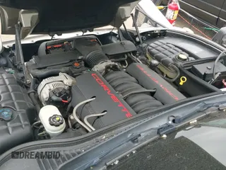 ✅ 1998 Chevrolet Corvette • VIN: 1G1YY22G6W5130385 • Lot: 42345580. Wystawiony na IAAI z przebiegiem 58 575 mil. Bezpłatny archiwum sprzedaży aukcyjnych z USA i szczegółowy raport historii pojazdu na DreamBid. Zdjęcie 19.