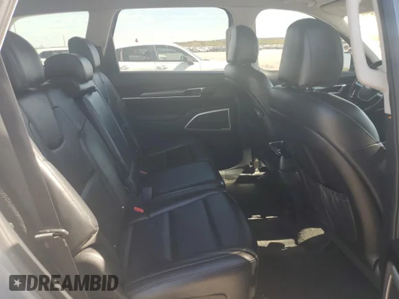 ✅ 2020 Kia Telluride LX • VIN: 5XYP24HC6LG045540 • Lot: 77868644. Wystawiony na Copart z przebiegiem 61 565 mil. Bezpłatny archiwum sprzedaży aukcyjnych z USA i szczegółowy raport historii pojazdu na DreamBid. Zdjęcie 11.
