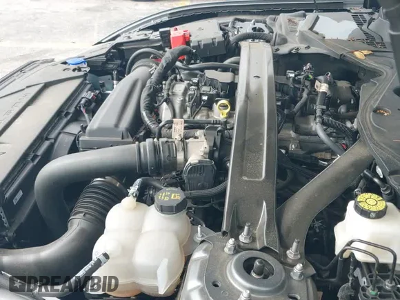 ✅ 2025 Ford Mustang EcoBoost Premium • VIN: 1FAGP8UH3S5108293 • Lot: 45262494. Listed on IAAI with 27,454 mi. Free auction sales archive from the USA and detailed vehicle history report at DreamBid. Image 15.
