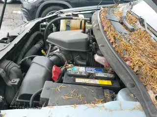 ✅ 2008 Ford Edge Limited • VIN: 2FMDK49C38BA70694 • Lot: 43805083. Wystawiony na IAAI z przebiegiem 149 113 mil. Bezpłatny archiwum sprzedaży aukcyjnych z USA i szczegółowy raport historii pojazdu na DreamBid. Zdjęcie 12.