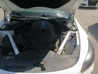 ✅ 2019 Kia Stinger Premium • VIN: KNAE25LA8K6059389 • Lot: 60890925. Listed on Copart with 73,688 mi. Free auction sales archive from the USA and detailed vehicle history report at DreamBid. Image 14.