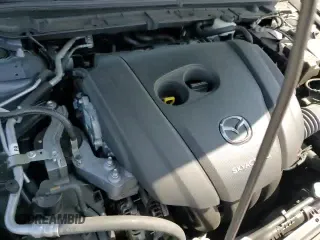 ✅ 2019 Mazda 3 • VIN: JM1BPALM6K1106362 • Lot: 84400045. Listed on Copart with 57,404 mi. Free auction sales archive from the USA and detailed vehicle history report at DreamBid. Image 13.