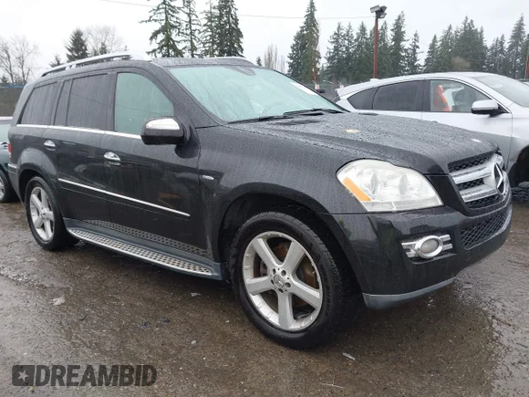 ✅ 2009 Mercedes-Benz GL 320 • VIN: 4JGBF25E29A479905 • Лот: 43899759. Опубліковано раніше на IAAI з пробігом 125 561 миль. Безкоштовний доступ до архіву аукціонних продажів зі США та докладний звіт про історію автомобіля на DreamBid. Зображення 1.