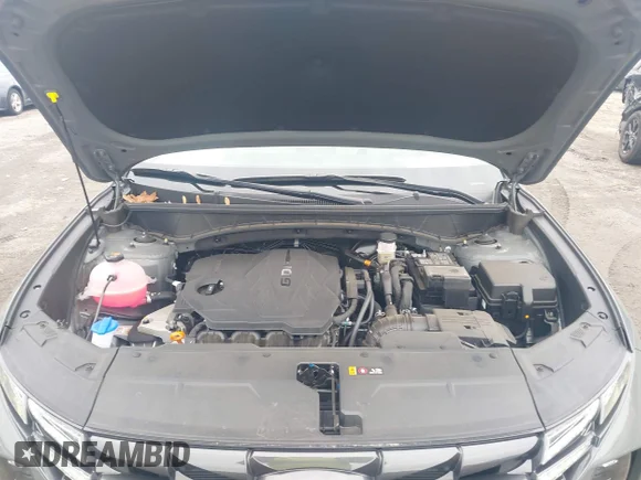✅ 2024 Hyundai Tucson SEL • VIN: 5NMJFCDE9RH395402 • Lot: 44120110. Wystawiony na IAAI z przebiegiem 8 969 mil. Bezpłatny archiwum sprzedaży aukcyjnych z USA i szczegółowy raport historii pojazdu na DreamBid. Zdjęcie 10.