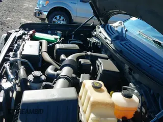 ✅ 2010 Ford F-150 XL • VIN: 1FTFX1EVXAFA83175 • Лот: 43065251. Опубликован ранее на IAAI с пробегом 97 017 миль. Бесплатный доступ к архиву аукционных продаж из США и подробный отчёт об истории автомобиля на DreamBid. Изображение 19.