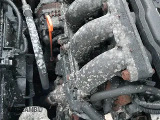 ✅ 2009 Honda Fit Sport • VIN: JHMGE87489S013652 • Lot: 43585614. Listed on IAAI with 136,013 mi. Free auction sales archive from the USA and detailed vehicle history report at DreamBid. Image 12.